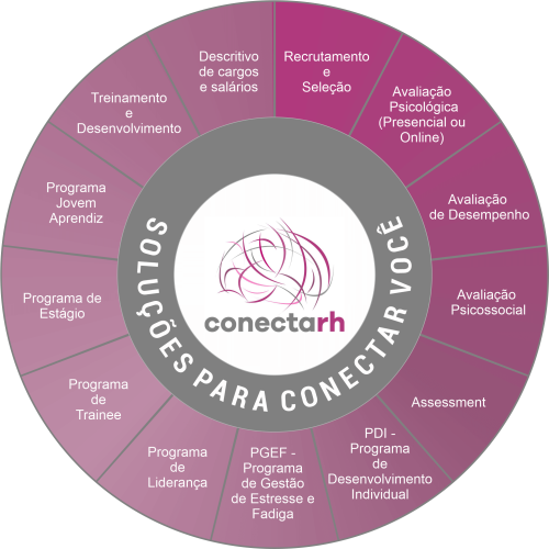 soluções-conectarh13